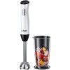 Погружной блендер Russell Hobbs Horizon 24691-56