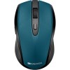 Мышь Canyon CNS-CMSW08G