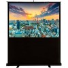 Проекционный экран CACTUS FloorCompactExpert 90x160 CS-PSFLCE-160X90