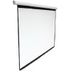 Проекционный экран Classic Solution Lyra M 308x220 [E 300x169/9 MW-M8/W]