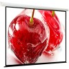 Проекционный экран ViewScreen Breston 305x305 MW