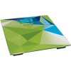 Напольные весы Ergolux ELX-SB03-С34