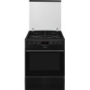 Кухонная плита Hansa FCMS682090