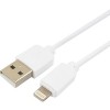 Кабель Гарнизон GCC-USB2-AP2-1M-W 1.0m