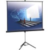 Проекционный экран Classic Solution Gemini 244x183