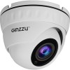 IP-камера Ginzzu HID-2032S