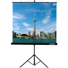 Проекционный экран Lumien Eco View 153x203 LEV-100111