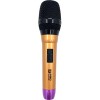 Проводной микрофон PSSound MWR-DM12