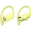 Наушники Beats Powerbeats Pro (весенний желтый)
