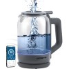Электрический чайник Polaris PWK 1720CGLD Wi-Fi IQ Home (серый)