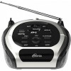 Портативная аудиосистема Ritmix RBB-010